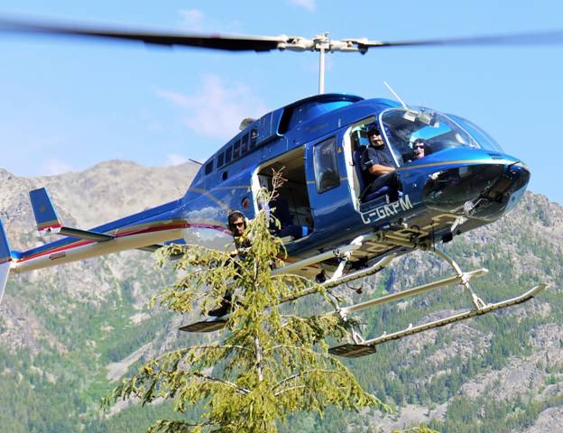 Helicopter supported treetop sampling is an effective way of quickly acquiring samples over large inaccessible areas of B.C.