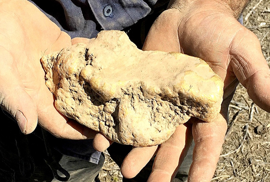 This Australian Man Just Found A Massive 4kg Gold Nugget MINING