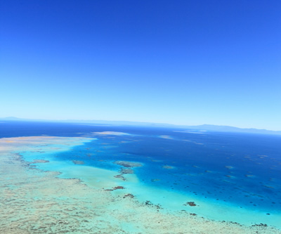 Coal port dredging, dumping threat to Great Barrier Reef