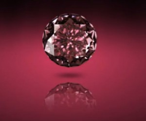 Argyle’s rare pink diamonds captivate audiences in India’s Pink City