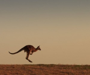 Mining jobs in Australia to stage a comeback