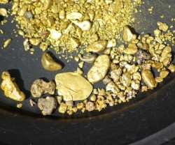 Pfizer lab missing $700K of gold dust - MINING.COM