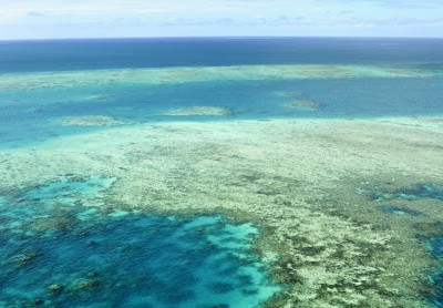 Marine experts demand Australia to stop reef mine, ports plans