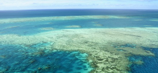 Australia gives green light to new $15bn coal mine despite Barrier Reef ...