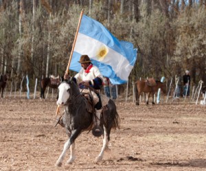 Vale halts $6 billion potash project in Argentina