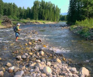 Coal mines of British Columbia polluting river: U.S. report