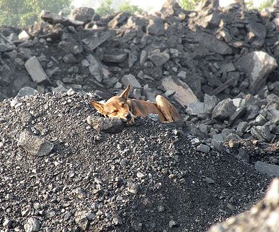 Coal pile in India