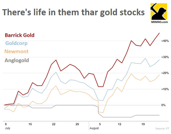 Investors pour into gold stocks: Barrick gains $7bn in 7 weeks
