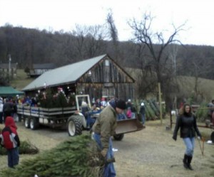 Family Christmas-tree farm 0. Gold mine 1