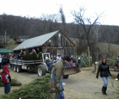 Family Christmas-tree farm 0. Gold mine 1