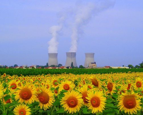 Climate scientists call for nuclear energy