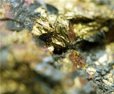 A dozen gold, copper, phosphate and uranium standouts