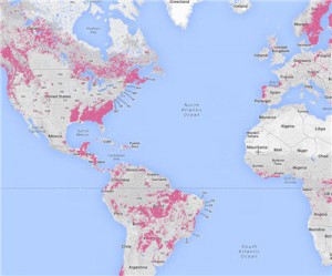 New online map shows deforestation as it happens