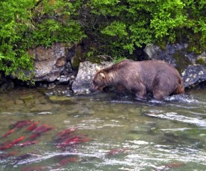 EPA sued over process that could block Pebble Mine in Alaska