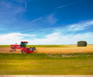 Canada’s Manitoba to open bids for major potash deposit