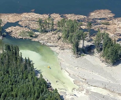 B.C. breaking information act by not disclosing Mount Polley reports: lawyers