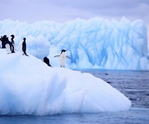 Mining the Antarctic a big no-no