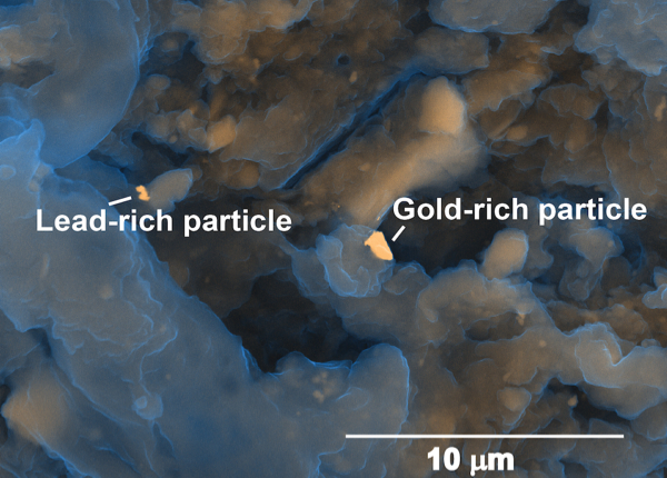 Scientists claim gold in human excrement is worth millions
