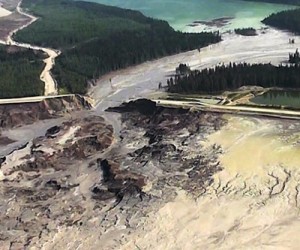 Mount Polley mining disaster cause major changes to ecosystem — study