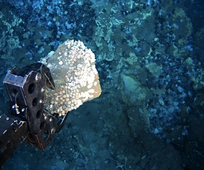 Deep sea mining: a potential source of renewable resources?