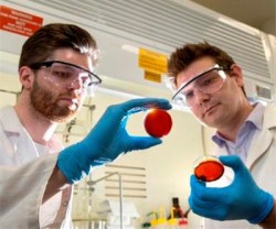 flinders university mercury pollution orange peel