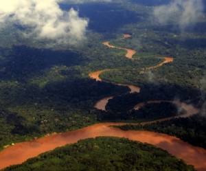 Devastation caused by illegal miners in Peru reaches national reserve