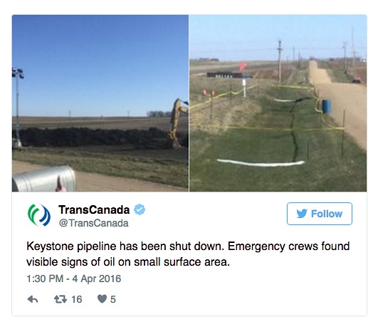 TransCanada shuts Keystone pipeline after leak in South Dakota