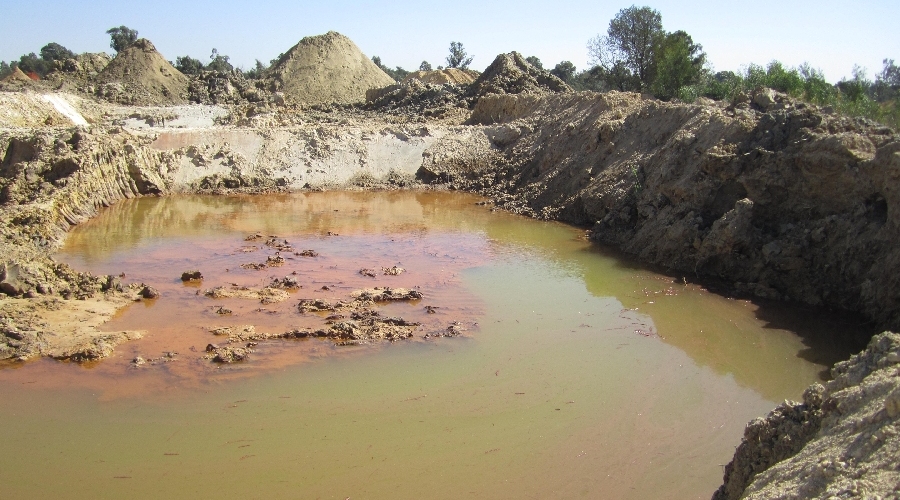 Ncamiso Clean-up and rehabilitation of contaminated dams for Hydroponic fishing at Springs market