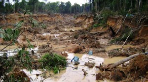 State of emergency in Peru over mercury poisoning from illegal gold mining