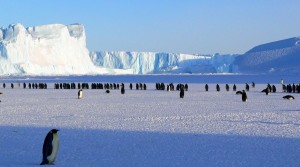 Australia’s uranium polluting the Antarctic — scientists