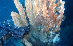 New Zealand deep-sea life needs 'better protection' from mining, study shows