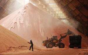 Commodities have lost 20% since June’s peak amid recession fears