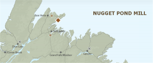 Newfoundlands champion moves towards gold production - the Nugget Pond