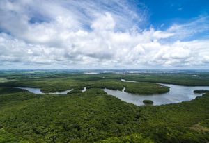 Petrobras puts potash mining rights up for sale