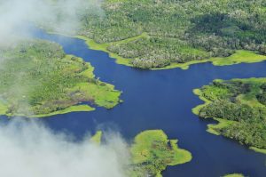 Brazil’s president revokes decree allowing mining in Amazon