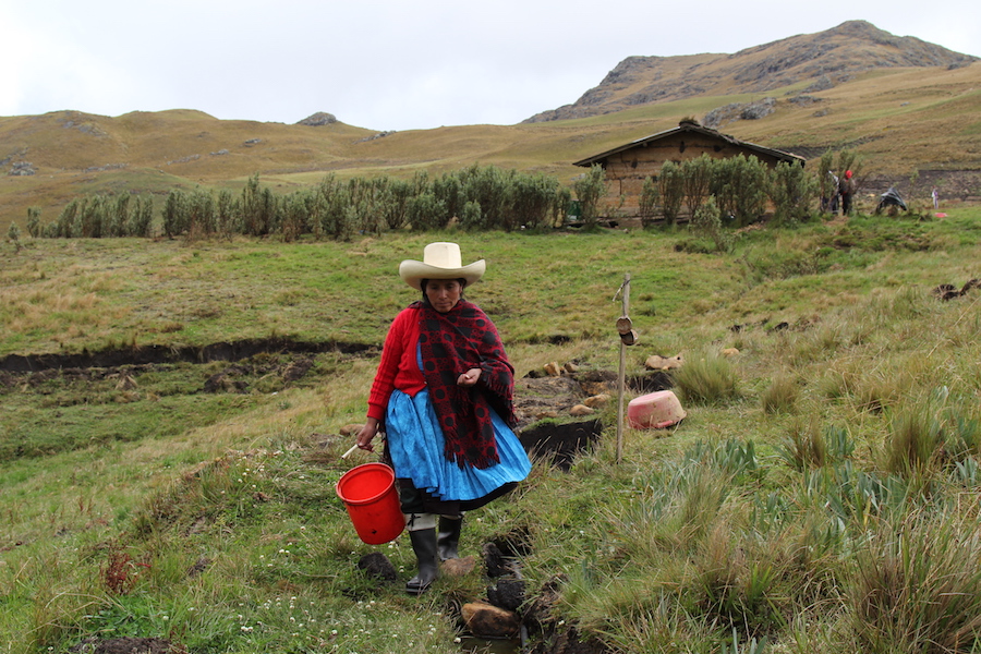 Peruvian farmer sues Newmont in US court over alleged use of violence and threats