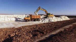 PotashCorp CEO confirms Chinese interested in lithium producer SQM