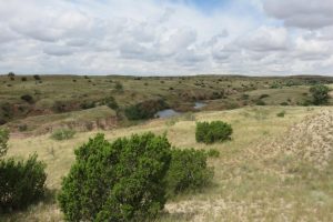 Texas uranium deposits could meet US nuclear energy demand for almost a year