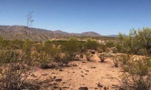 Arizona Lithium ties up with Native American firm to develop project