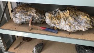 RNC Minerals soars after striking gold in once-in-a-lifetime find