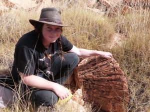 Australians find extremely rare mineral in meteorite impact crater