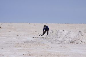 Bacanora lithium seeks listing of German unit in 2019