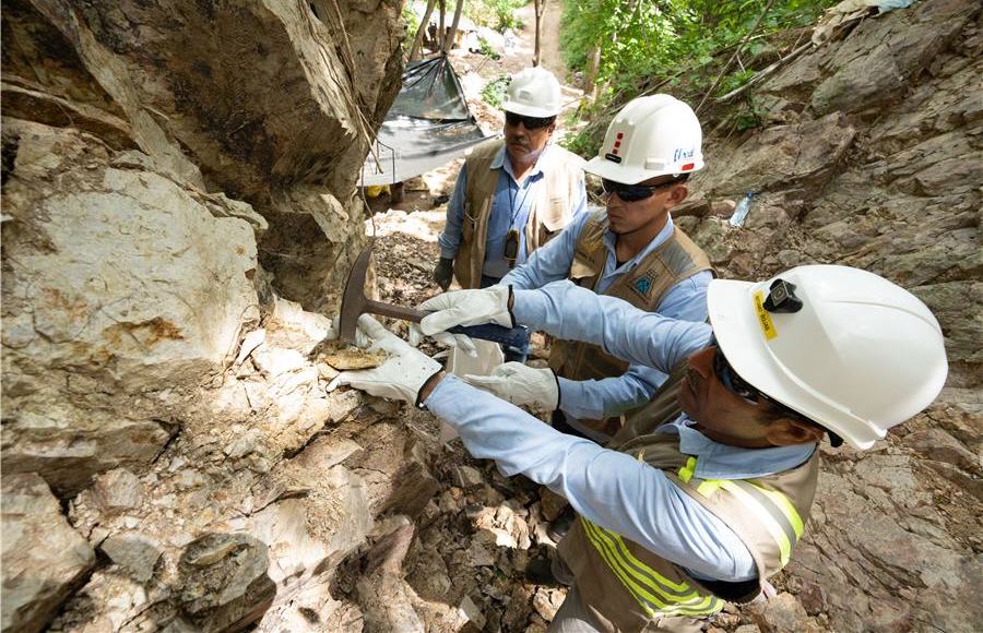Condor Gold shares jump on Nicaragua concession licence