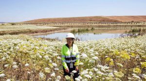 “Nature-first” mining could create $3.5 trillion market by 2030 — report