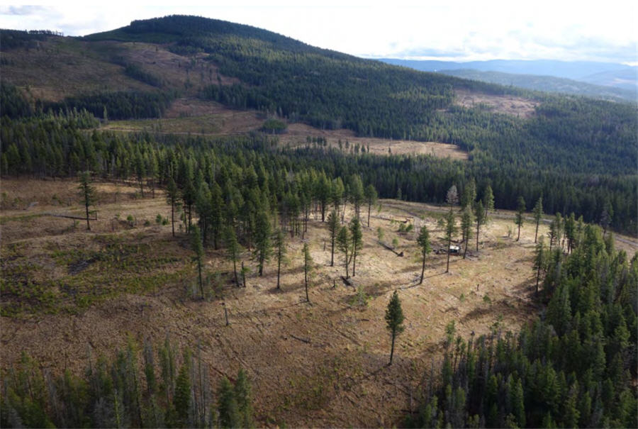 Westhaven says new gold zone at Shovelnose indicates ‘large and robust’ system