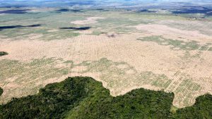 Deforestation in Brazil’s Amazon hits “highest level in a decade”