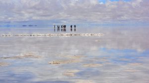 Lithium industry in a waiting game - report