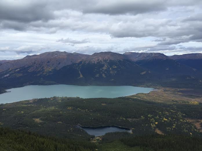 Newcrest buys land near Red Chris mine from Skeena