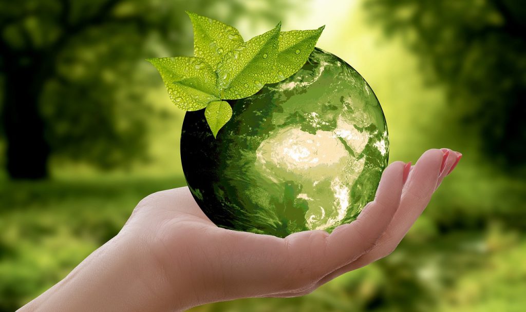 Green, social and sustainability bonds to reach $400 billion in 2020