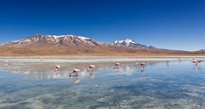 Hunt for Lithium Sparks Frantic Rush Into Argentine Mountains